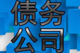 民丰如何避免债务纠纷？专业追讨公司教您应对之策